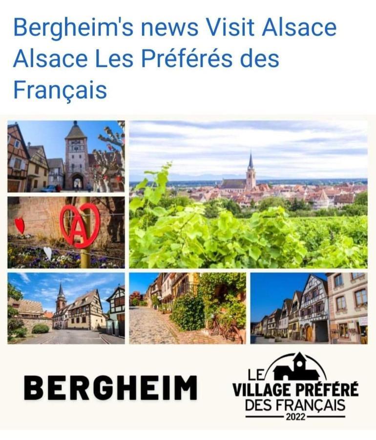 La Maison Des Tanneurs Ribeauvillé Екстериор снимка