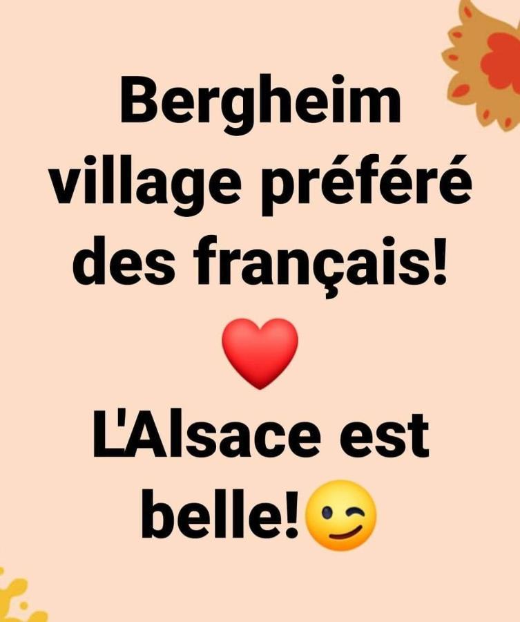 La Maison Des Tanneurs Ribeauvillé Екстериор снимка