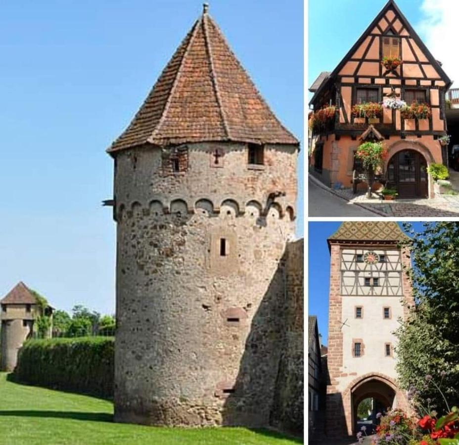 La Maison Des Tanneurs Ribeauvillé Екстериор снимка