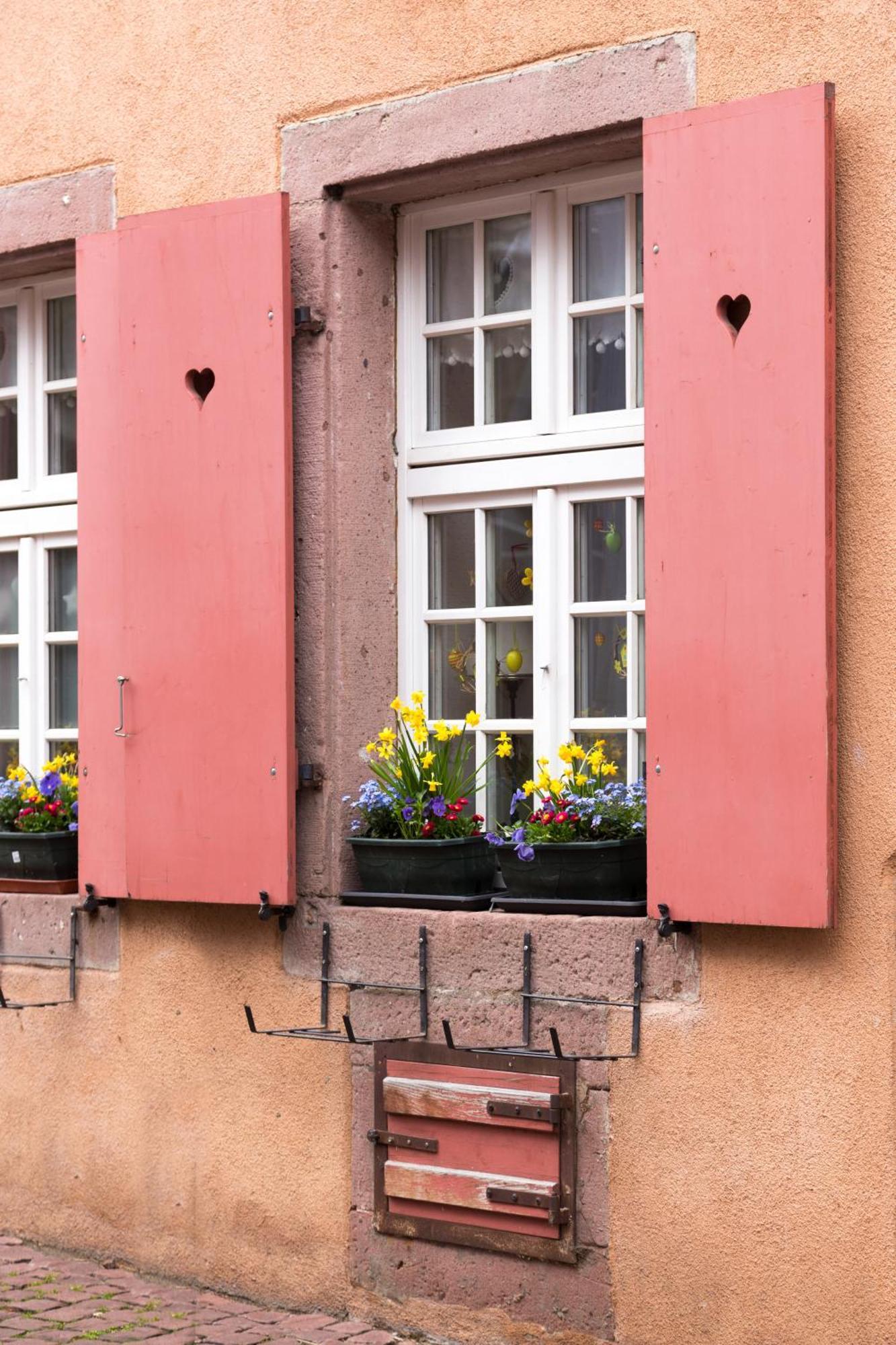 La Maison Des Tanneurs Ribeauvillé Екстериор снимка