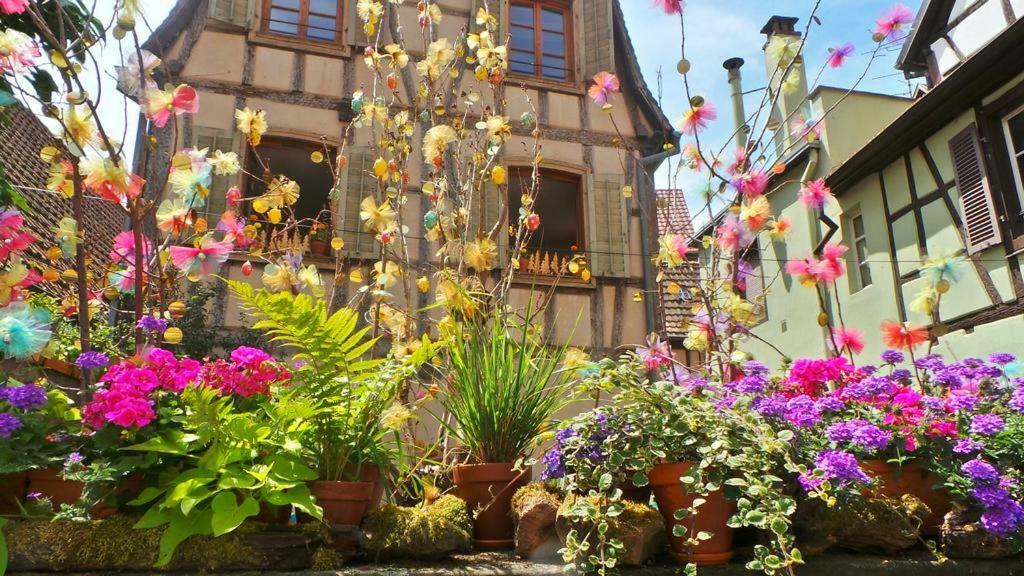 La Maison Des Tanneurs Ribeauvillé Екстериор снимка